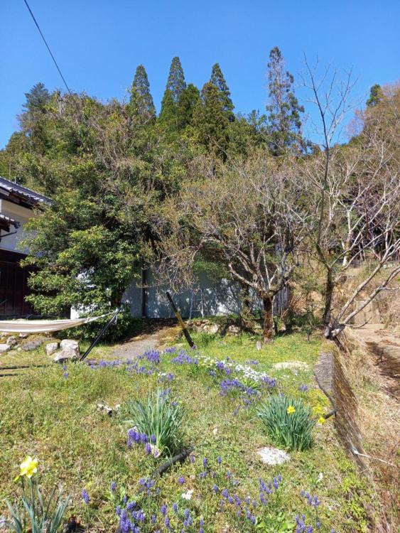 1日1組限定 田舎体験 古民家宿 樹々庵 Juju-An Gero Exterior photo